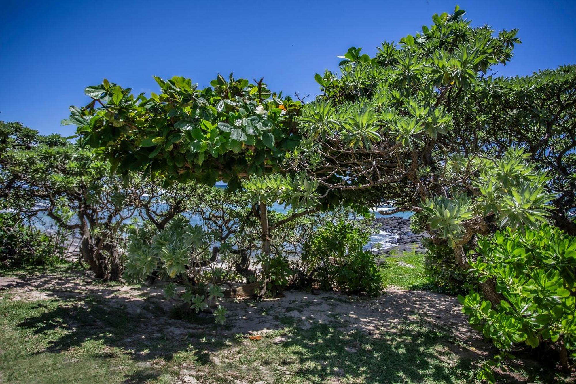 Beach Villa Poema Centre de Flacq Εξωτερικό φωτογραφία